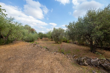 Foto Terreno agricolo in Vialeb Dello sport, Camporotondo Etneo di 4702 m²