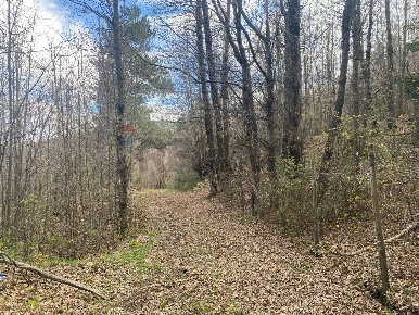 Foto Terreno agricolo in strada mareneve, Linguaglossa di 5490 m²
