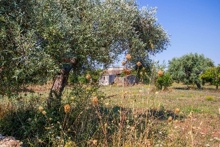 Foto Terreno agricolo in Via per Canicattini 38, Canicattini Bagni