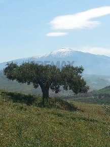 Foto Appartamento in Contrada Carchiola snc, Troina di 500 m² con 10 locali