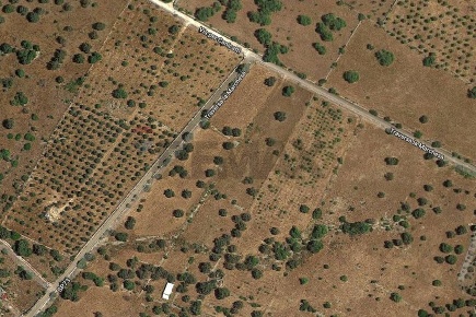 Foto Terreno agricolo in SP 73 sn, Noto di 4200 m² in vendita