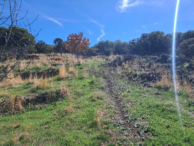 Foto Terreno agricolo in CONTRADA INCHIUSO, Santa Maria di Licodia