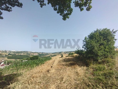 Foto Terreno agricolo in C.da Feudo, Campobasso Feudo di 12080 m²