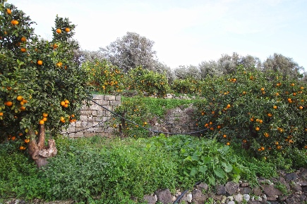 Foto Terreno agricolo in CONTRADA LUOGO MONACO, Augusta di 35386 m²