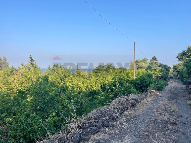 Foto Terreno agricolo in Via Colomba 34, Acireale di 3220 m² in vendita