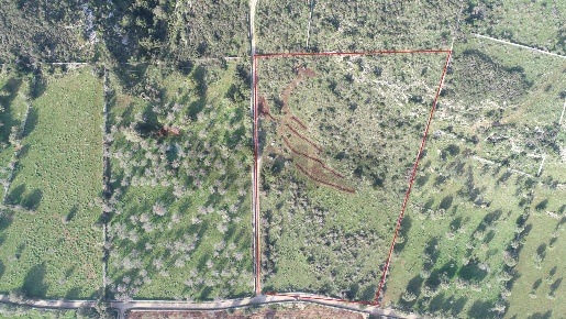 Foto Terreno agricolo in CONTRADA CASE CUGNI, Noto di 21009 m² in vendita