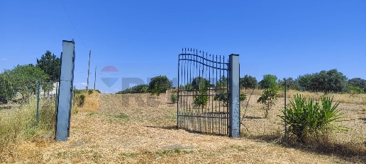 Foto Terreno agricolo in CONTRADA COMMENDA, Caltagirone di 10834 m²