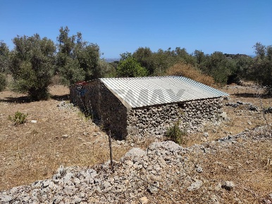 Foto Rustico in SP 73 sn, Noto di 120 m² con 1 locali in vendita