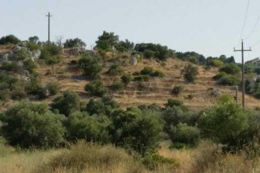 immagine annuncio 5 di 7