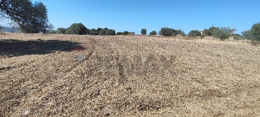 Foto Terreno agricolo in contrada ianche sn, Caltagirone di 6089 m²