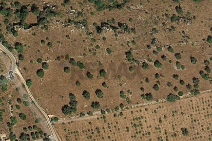 Foto Terreno agricolo in SP 73 sn, Noto di 4430 m² in vendita
