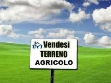 Foto Terreno agricolo a San Giuliano Terme Pontasserchio, Pappiana