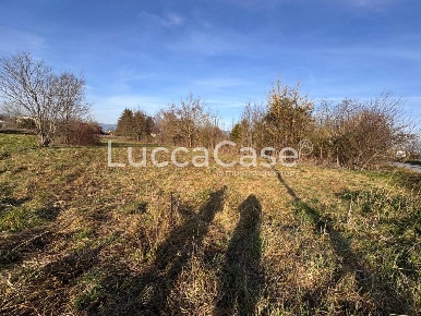 Foto Terreno agricolo a Capannori Pieve San Paolo - Santa Margherita