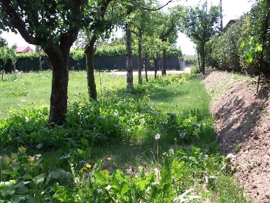 Foto Terreno residenziale a Schiavon Centro di 900 m² in vendita