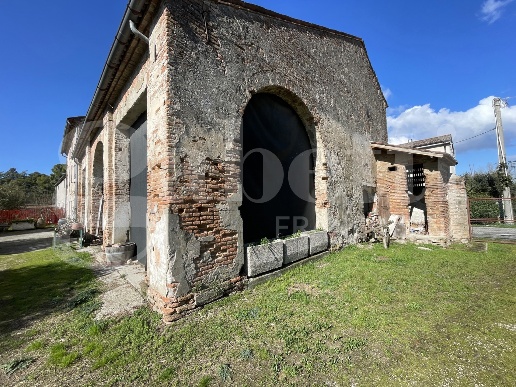 immagine annuncio 10 di 14