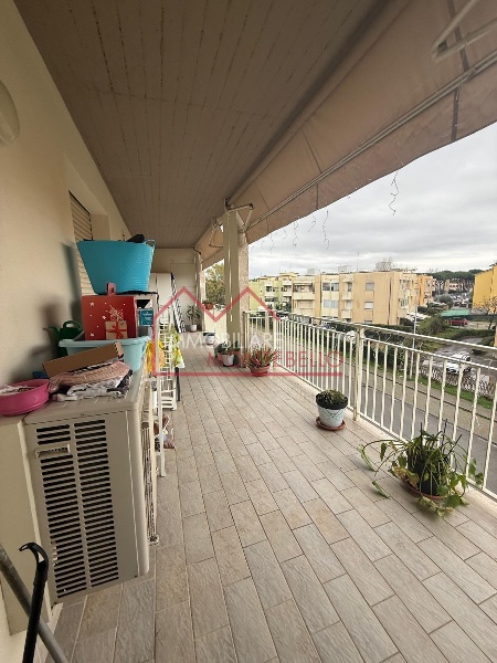 immagine annuncio 5 di 14