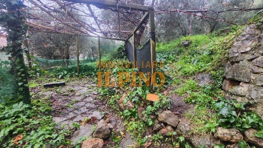 Foto Casa indipendente a Vicopisano Centro di 70 m² con 3 locali in vendita