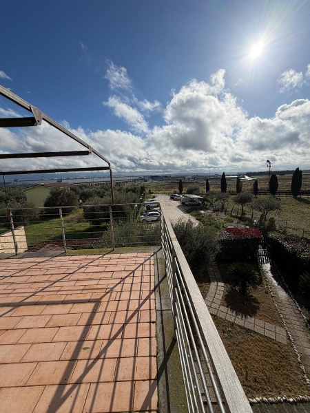 immagine annuncio 11 di 14