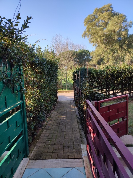 immagine annuncio 2 di 9