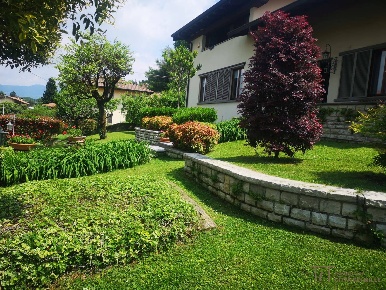 Foto Case semi ndipendenti in via Alfredo Piatti, Mozzo Centro di 425 m²