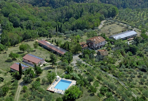 immagine annuncio 0 di 15