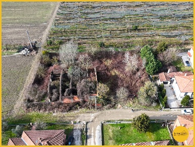 Foto Terreno residenziale in Via Fiume Vecchio 152, Molinella di 2400 m²