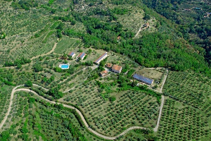 Foto Agriturismo in via di Pulicciano 120, Castelfranco Piandiscò