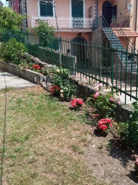 immagine annuncio 7 di 13