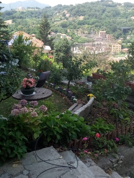 immagine annuncio 9 di 13