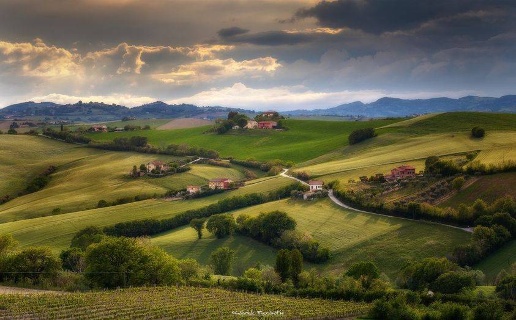 immagine annuncio 9 di 13