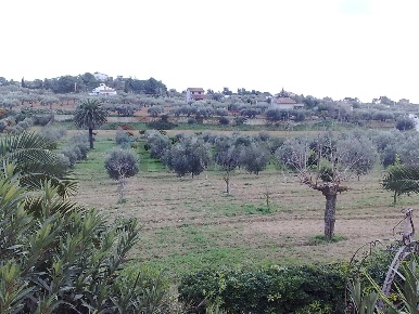 Foto Terreno residenziale in CONTRADA APA, Niscemi di 4678 m² in vendita