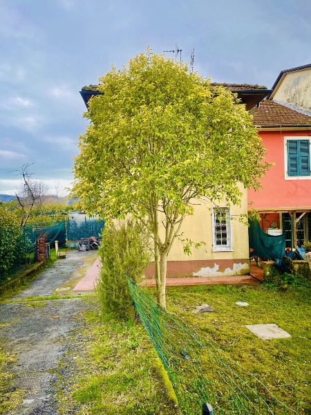 immagine annuncio 1 di 13