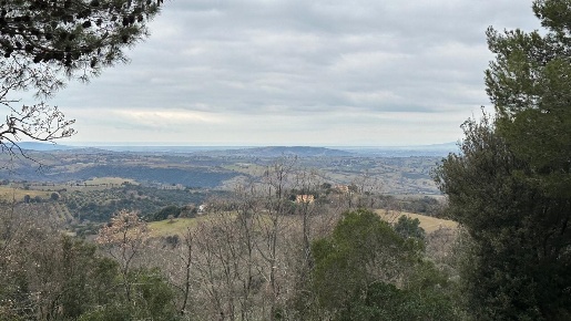 Foto Terreno agricolo a Scansano in vendita