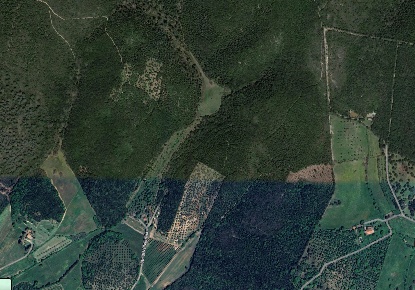 Foto Terreno agricolo a Grosseto Braccagni in vendita