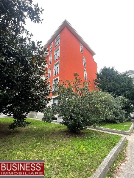 immagine annuncio 13 di 14