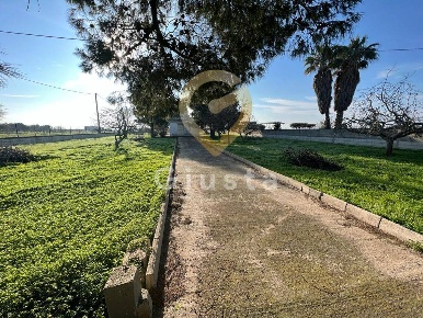 Foto Agriturismo in Strada Provinciale  per Restinco, Brindisi di 1942 m²