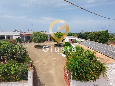 Foto Rustico in CONTRADA CORREO 1, Carovigno di 300 m² con 10 locali