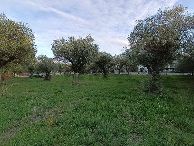 Foto Terreno residenziale in Via Bologna, Lanciano Centro di 710 m²