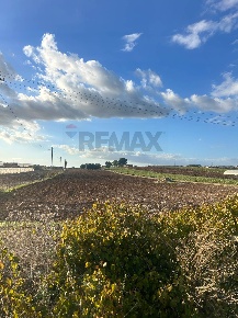 Foto Terreno agricolo in Coste fredde, Noto di 7650 m² in vendita