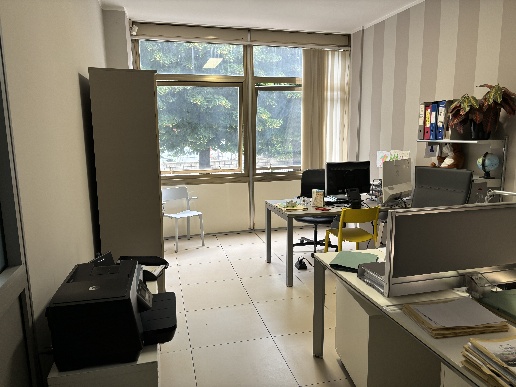 immagine annuncio 7 di 11