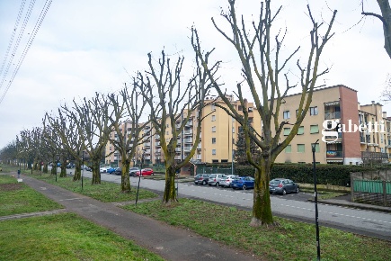 Foto Appartamento in Via Michele Robecchi 8, Muggiò Centro di 93 m²