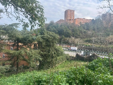 Foto Terreno residenziale in Salita Di Castel Giubileo 2, Roma Fidene