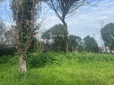 Foto Terreno residenziale in Salita Di Castel Giubileo 2, Roma Fidene