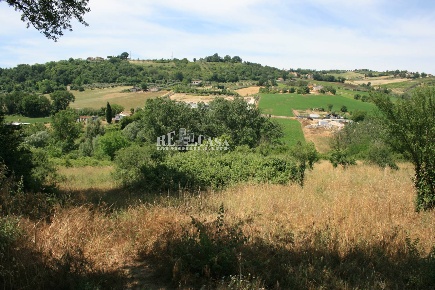 Foto Terreno agricolo in contrada fontanelle, Monsampolo del Tronto