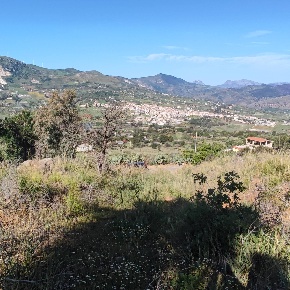 Foto Terreno residenziale a Bolognetta di 10000 m² in vendita