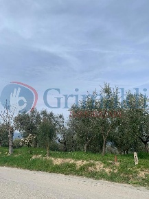 Foto Terreno residenziale in Via San Clemente 1, Montefalco di 1261 m²