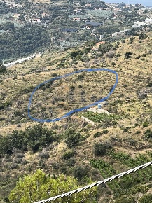 Foto Terreno agricolo in strada collette beulle snc, Sanremo Bussana
