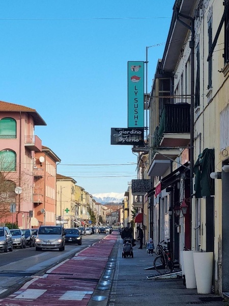 immagine annuncio 10 di 11