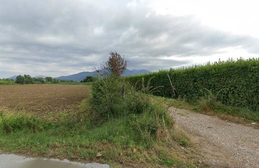 immagine annuncio 1 di 3