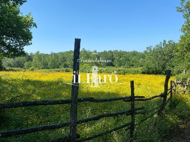 Foto Cessione attività a Fucecchio di 60000 m² con 8 locali in vendita